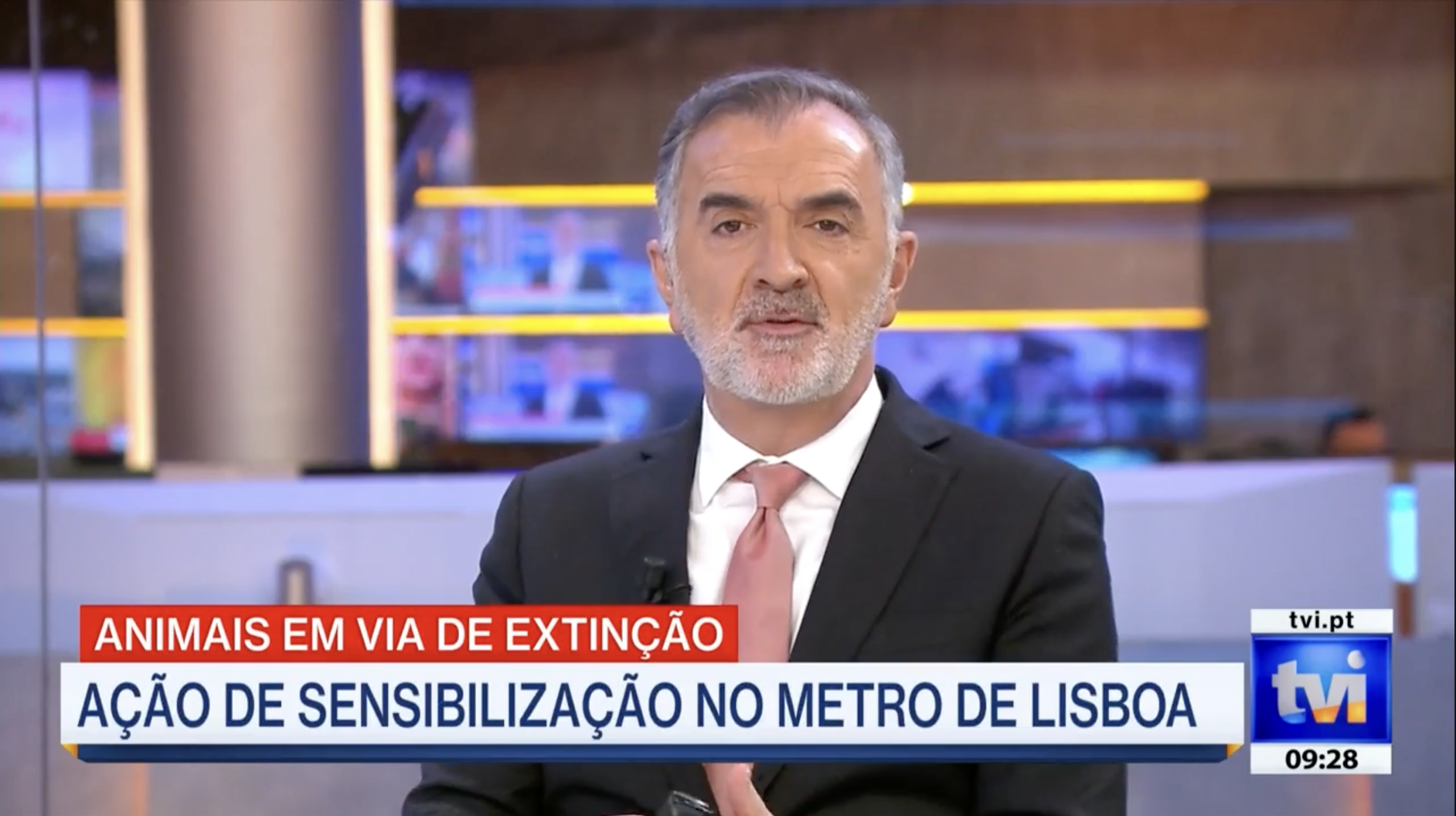 TVI Cooprativa